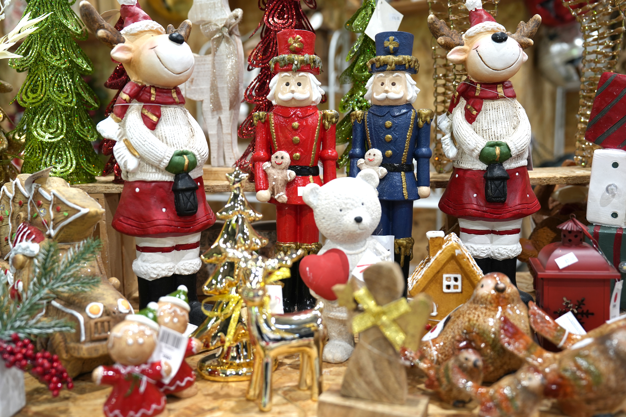 Slider Image 0
